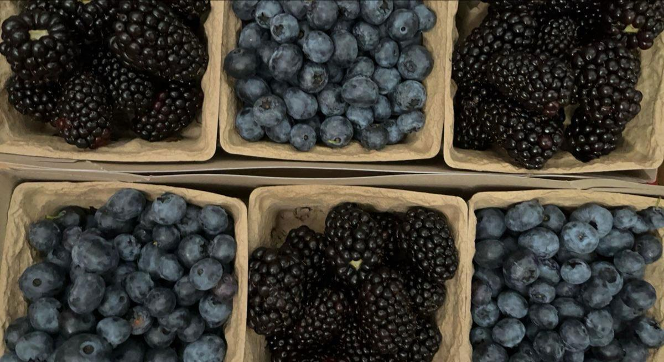 Nutrição desportiva — performance e recuperação muscular